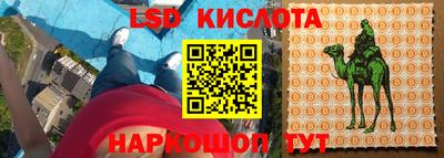 PSILOCYBIN Бугуруслан