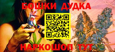 PSILOCYBIN Бугуруслан