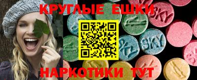 стаф Будённовск