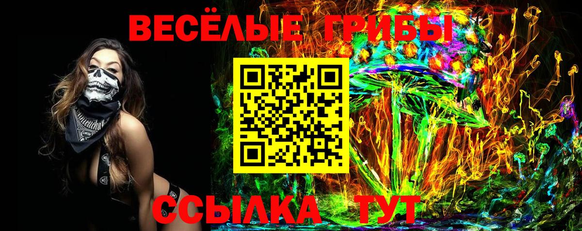 Советская Гавань  наркота  Вход с VPN  Псилоцибиновые грибы GOLDEN TEACHER 